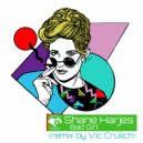 Shane Harjes & Vic Crulich - Bad Girl (Vic Crulich Remix)