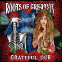Roots of Creation & Stephen Marley & Marlon Asher - Fire on the Mountain (feat. Stephen Marley & Marlon Asher)