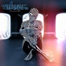 Trigem - Evaluation