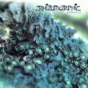 Rhizomorphic - Endophyte (Original Mix)