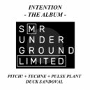 Pitch! - Intention (Duck Sandoval Remix)