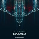 Evolved - Flexion