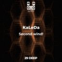 KaLeDa & Reso Nance - L U N T I K (Original mix)