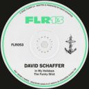 David Schaffer - The Funky Shot (Original Mix)