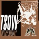 TSOW - Ts05  [interplanetary Ip10]