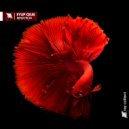 Eyup Celik - Reflection