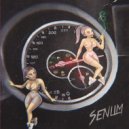 Senlim - 4 колеса (Original Mix)
