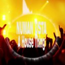Numan Usta - A House Thing (Original Mix)