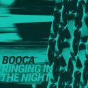 Booca - Ri-one (Original Mix)
