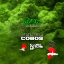 Felipe Cobos - Ligabua