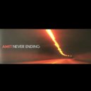Amit - Too Many Freedoms