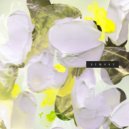 Need For Mirrors - Percolate