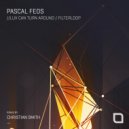 Pascal FEOS - Luv Can Turn Around