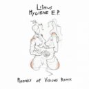 Litmus - Hygiene (Phreaks Of Visions Remix)