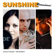 Pulse of the Beat & Sync Diversity - Where is the Love