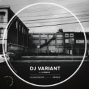 DJ Variant - What The Hell (Original Mix)