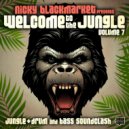 Navigator ft. Ranking Joe - Junglist Sound