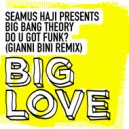 Seamus Haji Presents Big Bang Theory - Do U Got Funk? (Gianni Bini Remix)