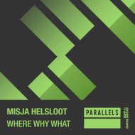Misja Helsloot - Where Why What