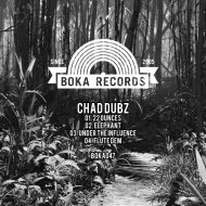 Chad Dubz - 22 Ounces
