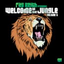 Ray Keith ft. Danny C - Something Out There