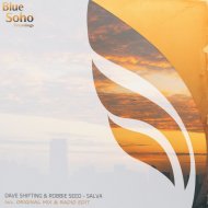 Dave Shifting & Robbie Seed Pres. Sky Motion - Salva