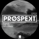 Optimuss - The Lower Bound