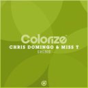 Chris Domingo & Miss T - Shine