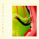 Dreems - Meltdown (Angophora remix)