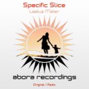 Specific Slice - Laetus Mater (Original Mix)