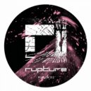 Forest Drive West - Annoko (Original Mix)