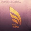 Hazem Beltagui & Aneym - Passengers