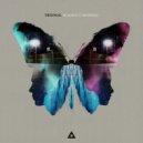 Tritonal feat. Steph Jones - Blackout (LAXX Remix)