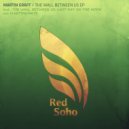 Martin Graff - Fleeting Days (Original Mix)