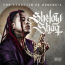 Shelow Shaq & Wason Brazoban - Enfermando Mi Corazon (Original Mix)