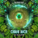 Chris Rich - These Are New Demons (Original mix)