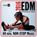 Bad Booty Brothers - Monster Party (Club Mix)