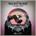 Alex Hook feat. Shyam P - Walk Into The Night (Le Flex Remix)