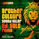 Brother Culture - Sound Killer (Ed Solo Remix Instrumental)