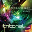 Tritonal feat. Bethany - Sometimes I Wish