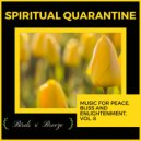 The Focal Pointt - Purifying The Aura