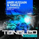 Amir Hussain & Tangle - Labyrinth