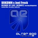 BRKDWN x Joel Freck feat Amy Kirkpatrick - Because of Love (Remixes) (Radio Edit)