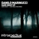 Danilo Marinucci - Unstable Machines (Radio Edit)