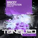 Bricey - Anticipation (Radio Edit)