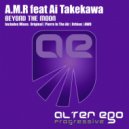 A.M.R feat Ai Takekawa - Beyond The Moon (Dub Mix)
