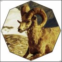 The Accountant - 6ix Rams In Golden