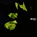 Dynamic System - Reflect 01