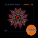 Jackson Wild - Hybrid (Original Mix)