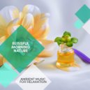 Yogsutra Relaxation Co - Ambient Drops (Original Mix)